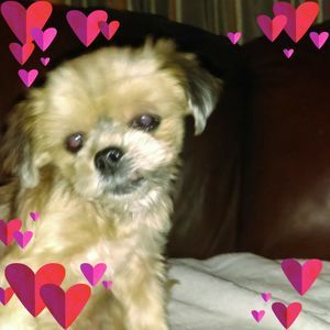 Meet your Posher, Beverly